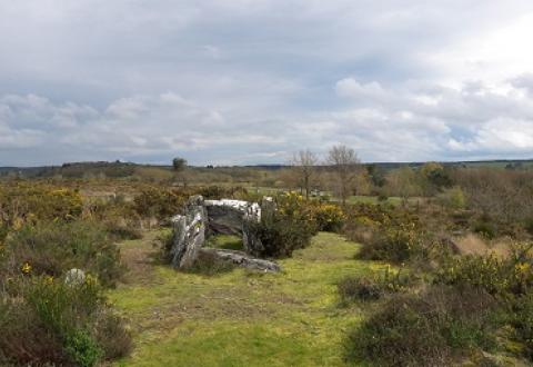 Site mégalithique des Landes de Cojoux à Saint-Just